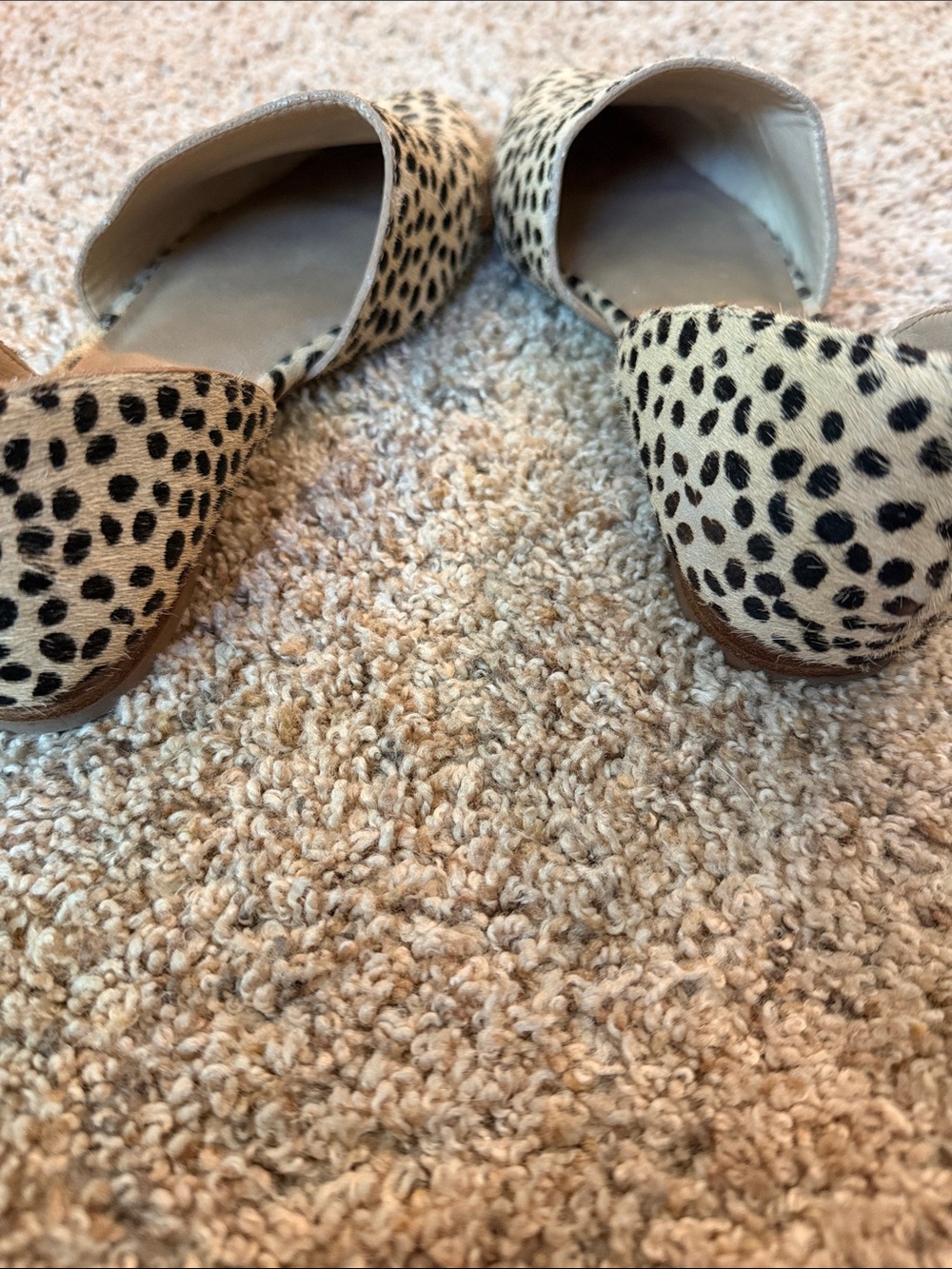 Steve Madden Leopard-Print Slip-On Flats - Black & Cream - Picture 6 of 6